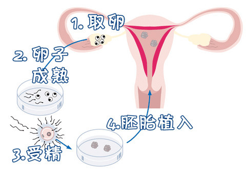 就诊指南